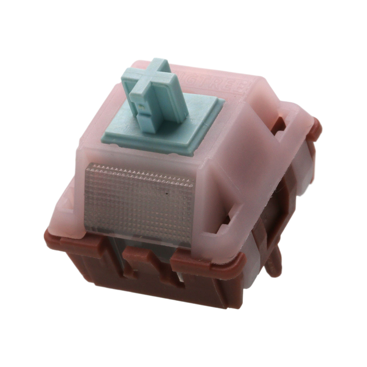 Ting Wai Tea Tactile Switches  - đánh giá và giá Keyboard Lube Kit