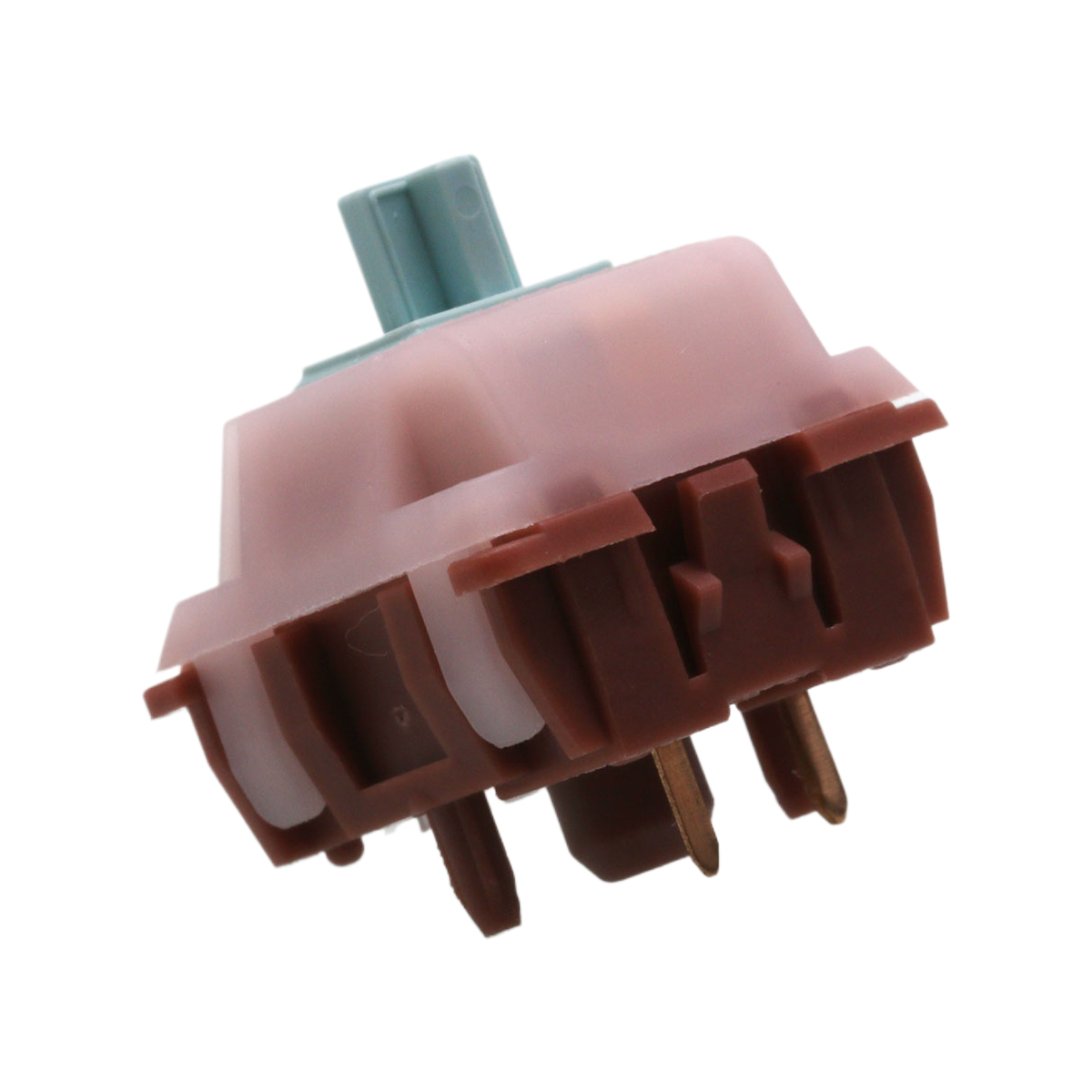 Ting Wai Tea Tactile Switches  - đánh giá và giá Keyboard Lube Kit